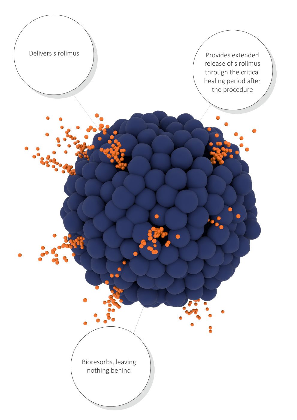 SirolimusEFR Formulation